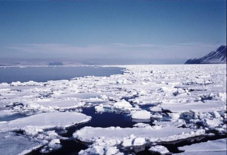 drivis, Adventfjorden;Longyearbyen