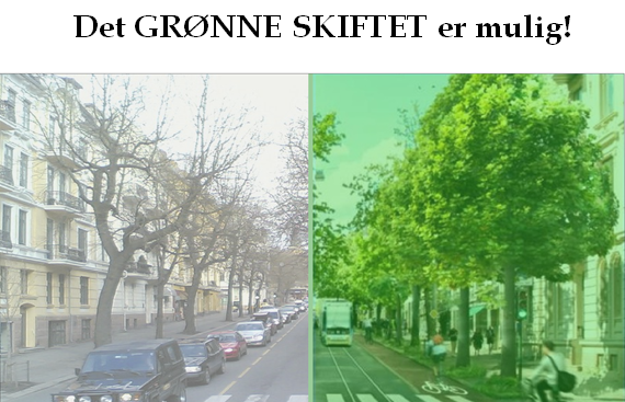 grønne skifte mulig