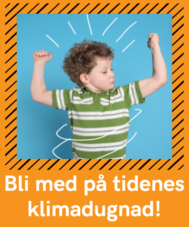 bli med 3