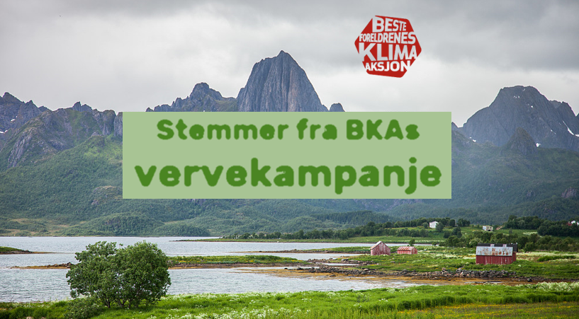 vesterålen stemme5