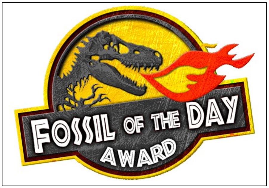 fossil of the day