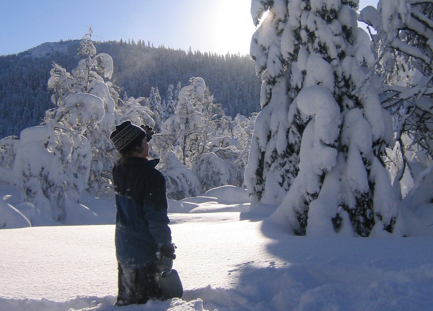 vinter melsomvik