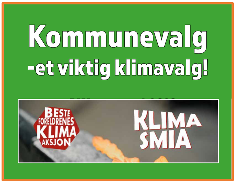 kommunevalg kant