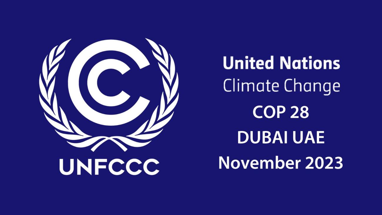 cop28