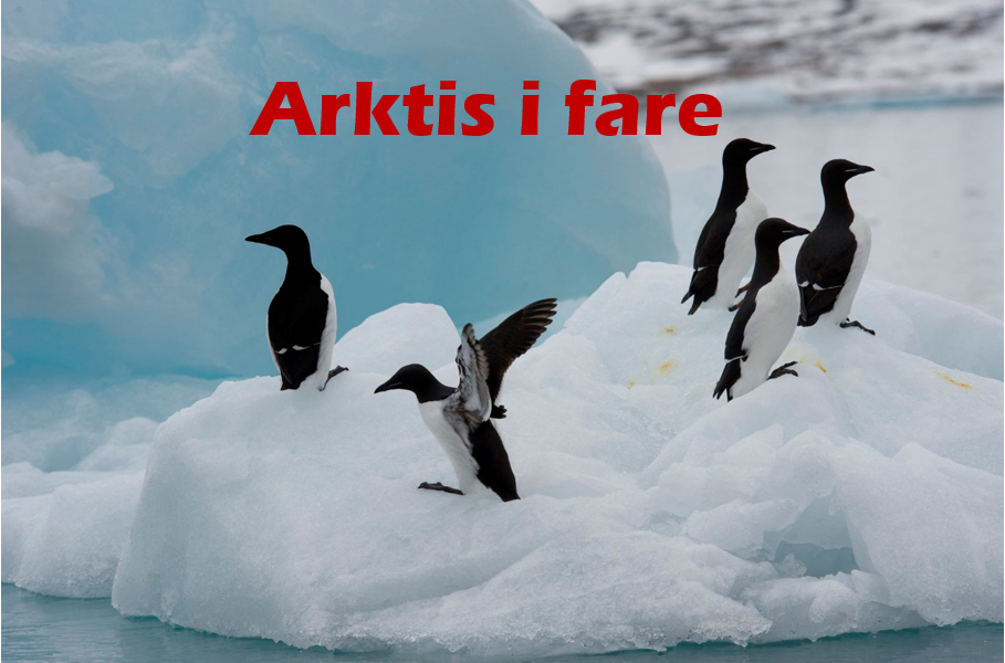 Arktis i fare