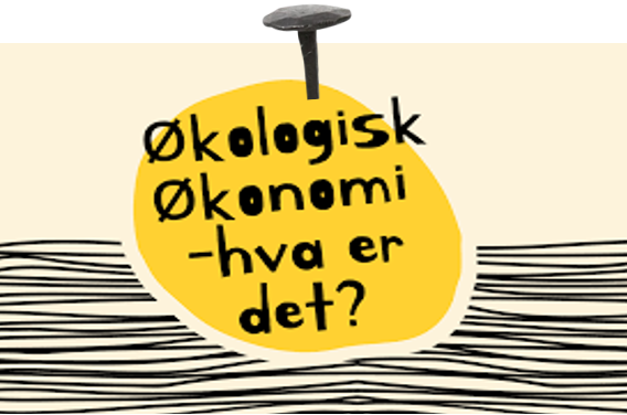 øko økonomi