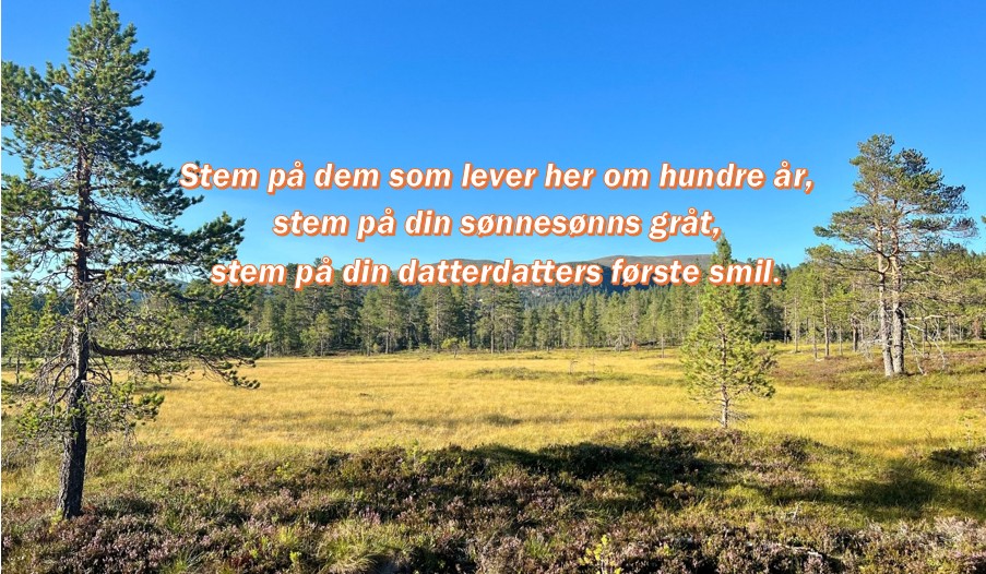Stem på