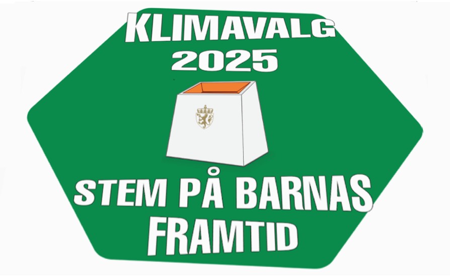 Klimavalg 2025 flattrykt