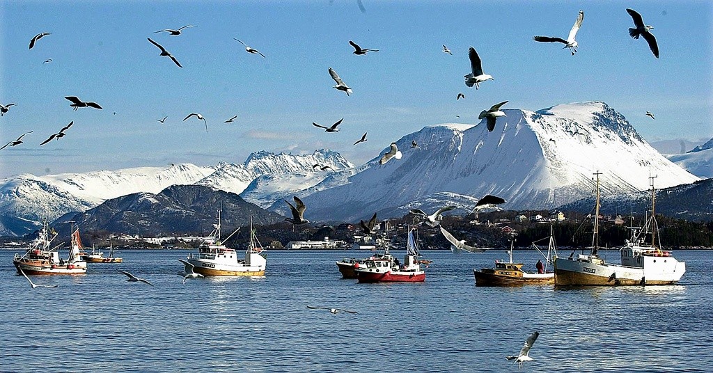 Borgundfjordfiske_Ståle Wattø