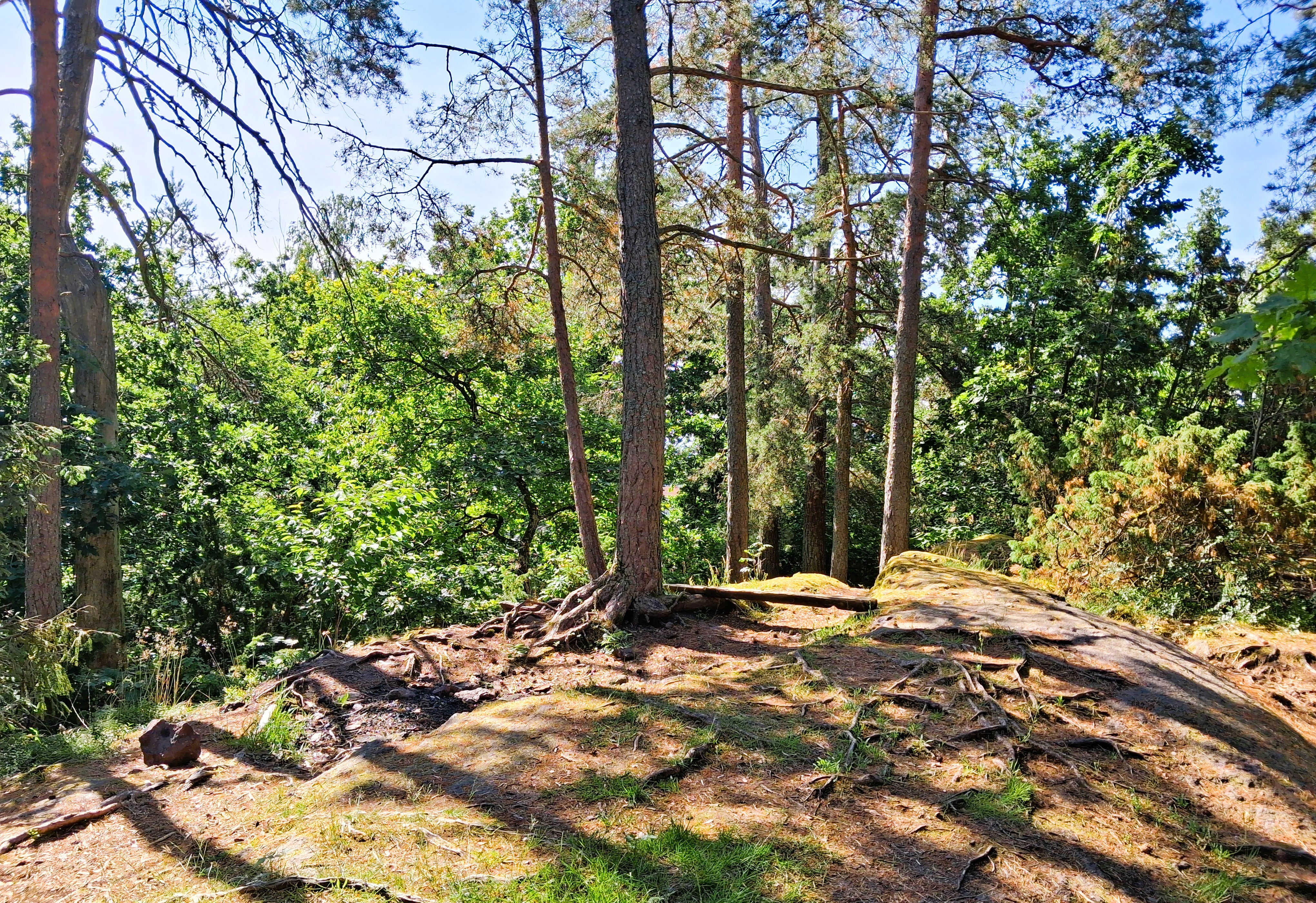 velleskogen