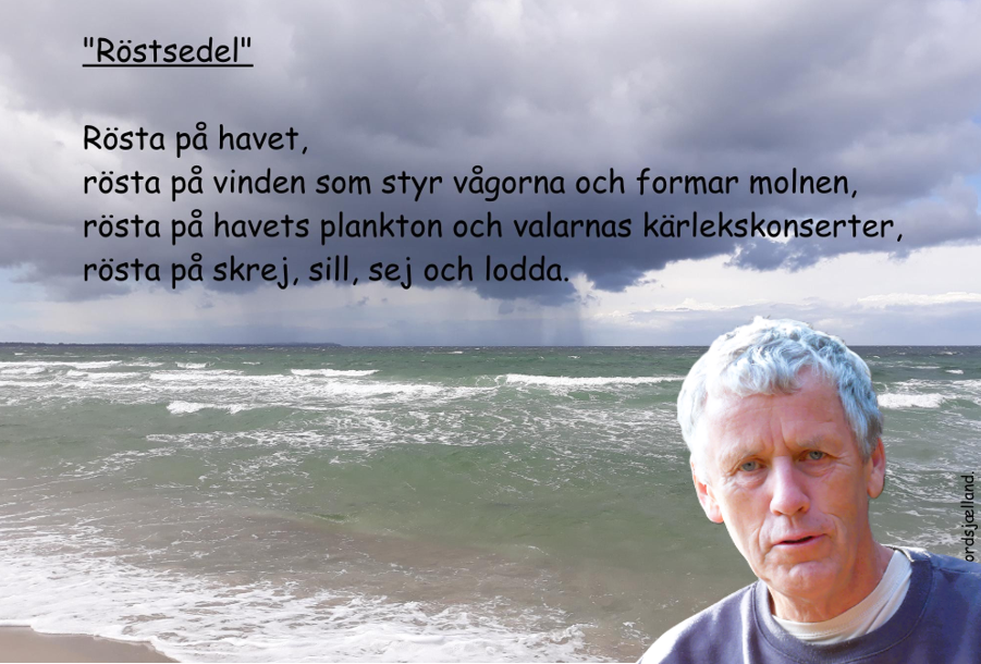 röstsetel med amble